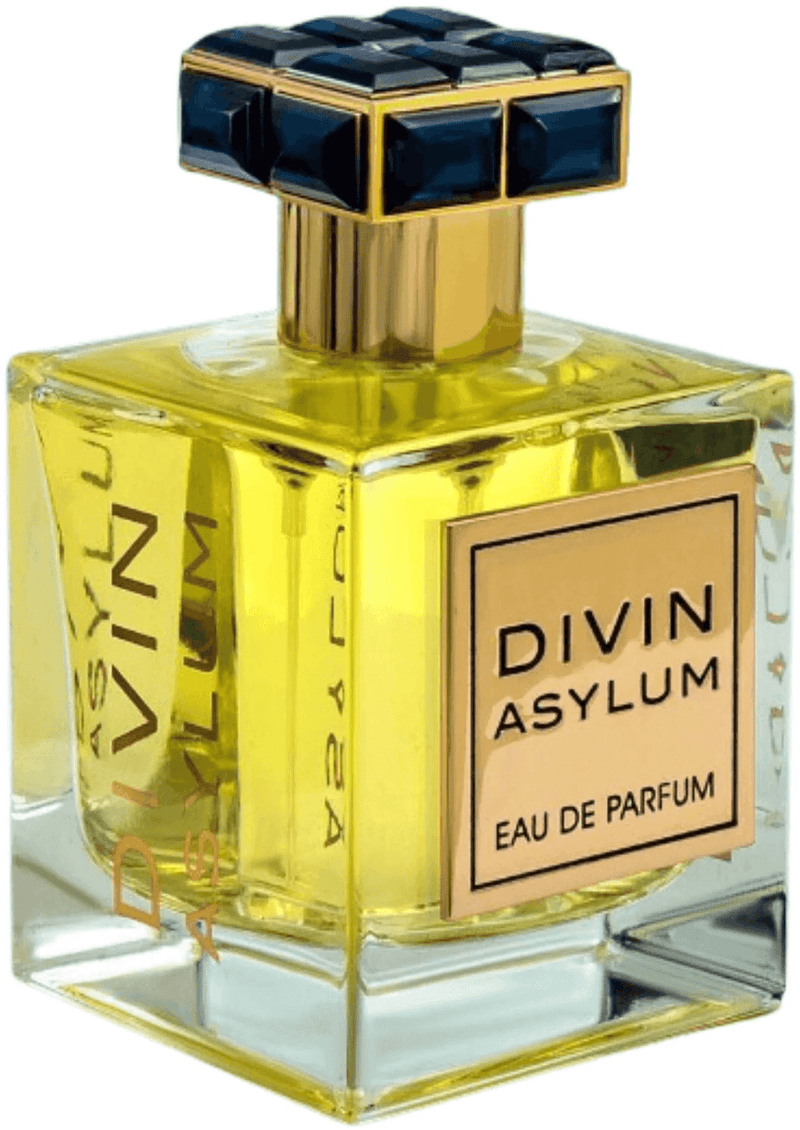 DIVIN ASYLUM EDP PERFUME by FRAGRANCE WORLD 100ml (3.4oz) FA PARIS