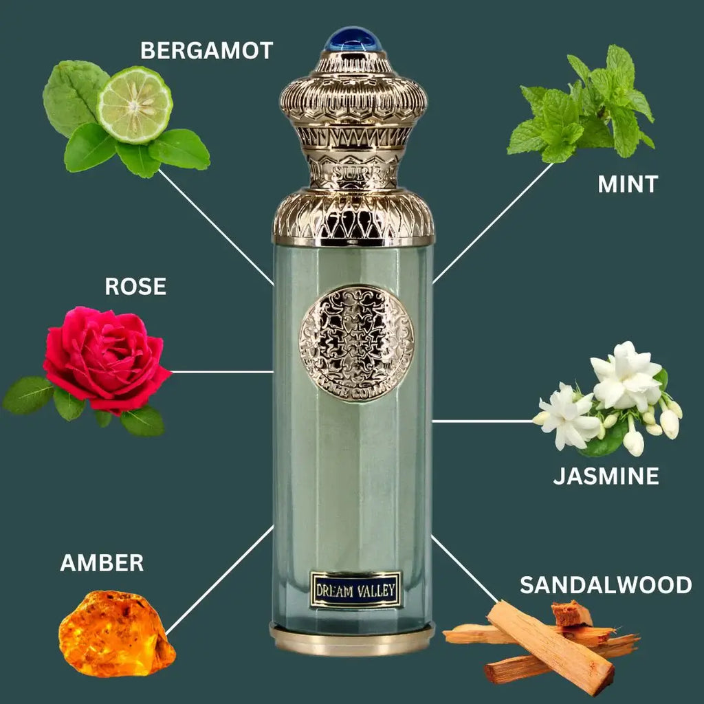 Dream Valley Eau de Parfum bottle with notes of bergamot, mint, rose, jasmine, sandalwood, and amber.