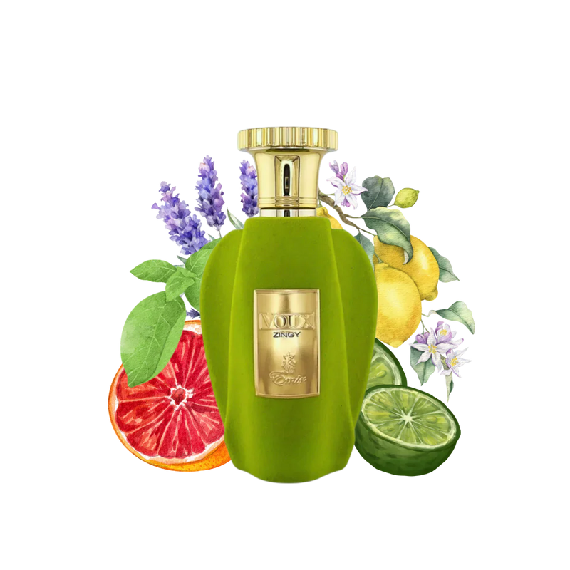 VOUX ZING EAU DE PARFUME 100ml BY PARIS CORNER - EMIR COLLECTION